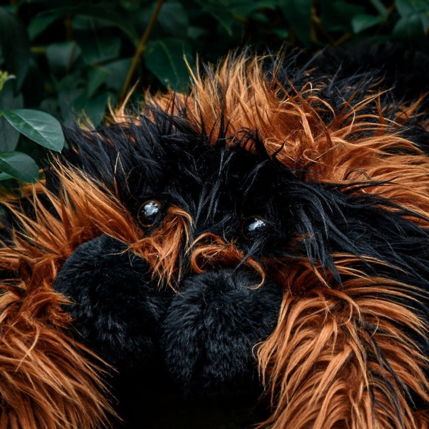 Pavouk plyšový tarantule – Plyšová tarantule – polštář 50 x 85 cm