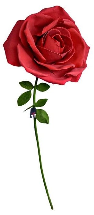 Růže valentýnská XXL – růže červená velká 1,6m