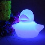LED kačka plastová 23x29cm s RGB farbami plávajúca + krytie IP65 a diaľkový ovládač