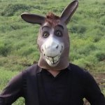 Maska na obličej osel ze silikonu - maska na hlavu pro děti i dospělé na karneval