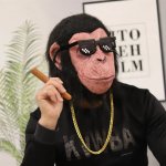 Maska na tvár opica šimpanz – silikónová maska šimpanza na karneval