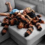 Pavouk plyšový tarantule – Plyšová tarantule – polštář 50 x 85 cm