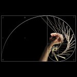 Hlavolam z kovu spinner kinetický – hlavolam Square Wave kovová dekorace