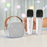 Karaoke set bezdrátový – Karaoke set + 2 mikrofony + reproduktor 6W