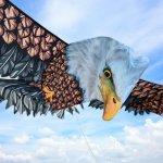 Drak orel 3D – dětský létající drak XXL 186 cm