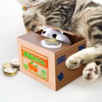 Pokladnička mačiatko – elektronická pokladnička box na mince