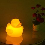 LED kačka plastová 23x29cm s RGB farbami plávajúca + krytie IP65 a diaľkový ovládač