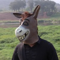 Maska na tvár somár zo silikónu - maska na hlavu pre deti aj dospelých na karneval