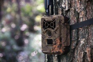Fotopasca na sledovanie s FULL HD a 54 IR LED -  Watcher 1 (F 1.8/FOV 110°)